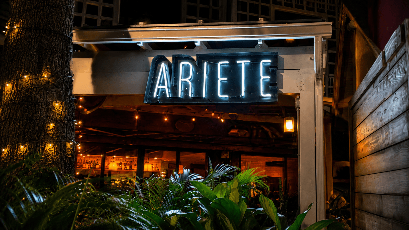 Ariete photo 5